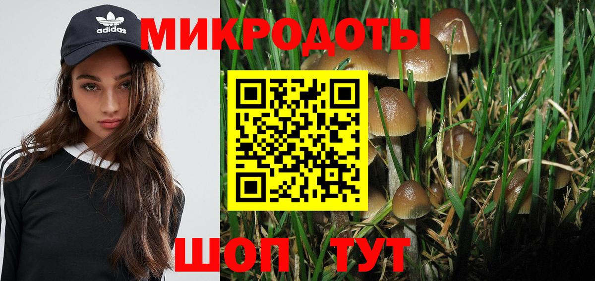 Саров  Псилоцибиновые грибы мицелий  Вход с VPN  Псилоцибиновые грибы ЛСД 