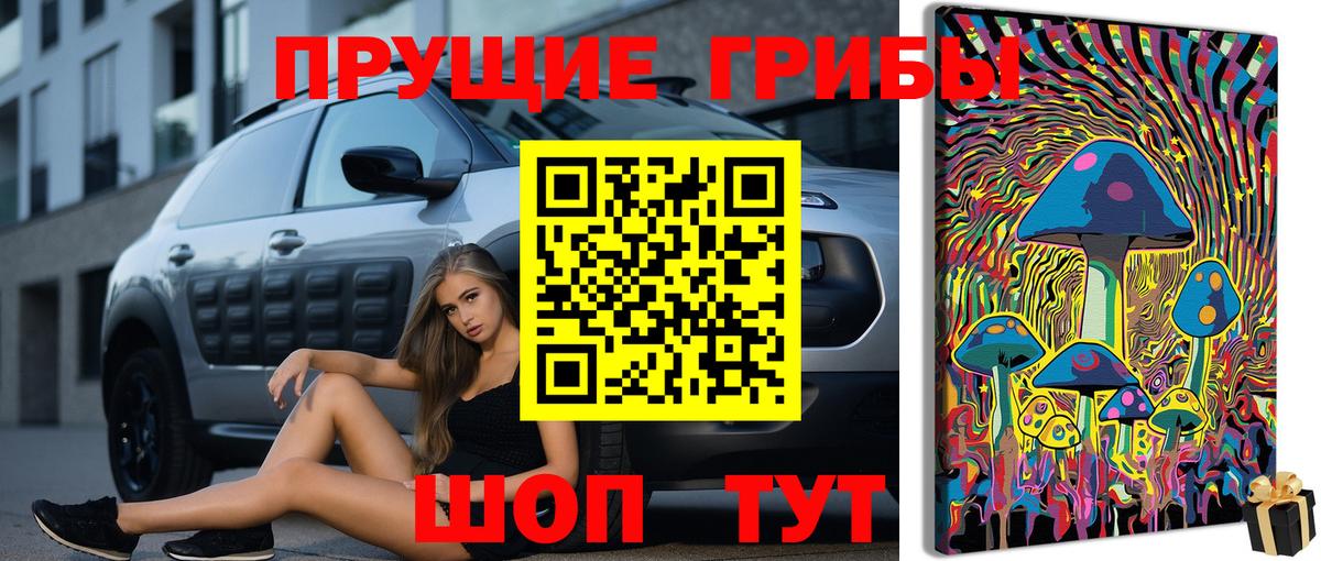 Галлюциногенные грибы GOLDEN TEACHER Саров